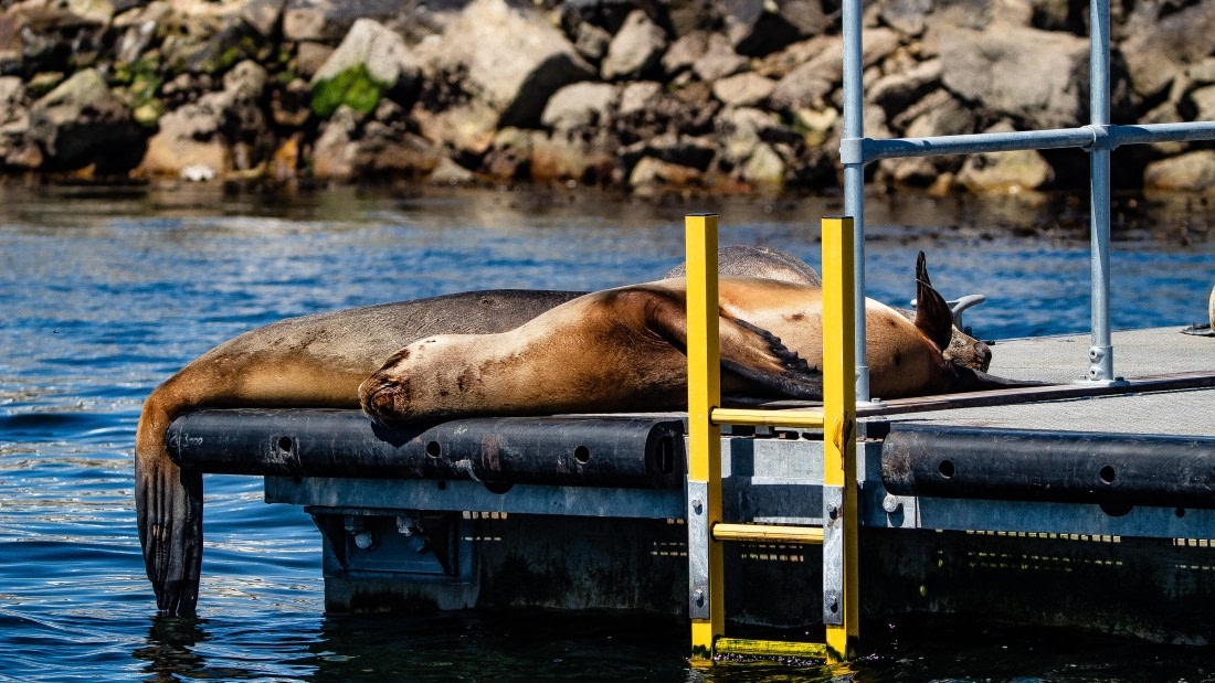 OTL25-25, Day 4, IMG_3842 © Unknown photographer - Oceanwide Expeditions.jpg