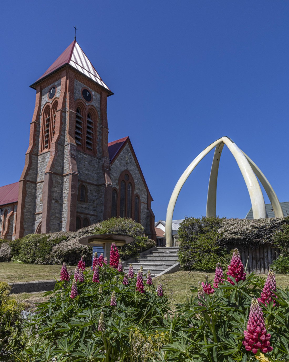 OTL25-25, Day 4, Stanley 4 © Sara Jenner - Oceanwide Expeditions.jpg