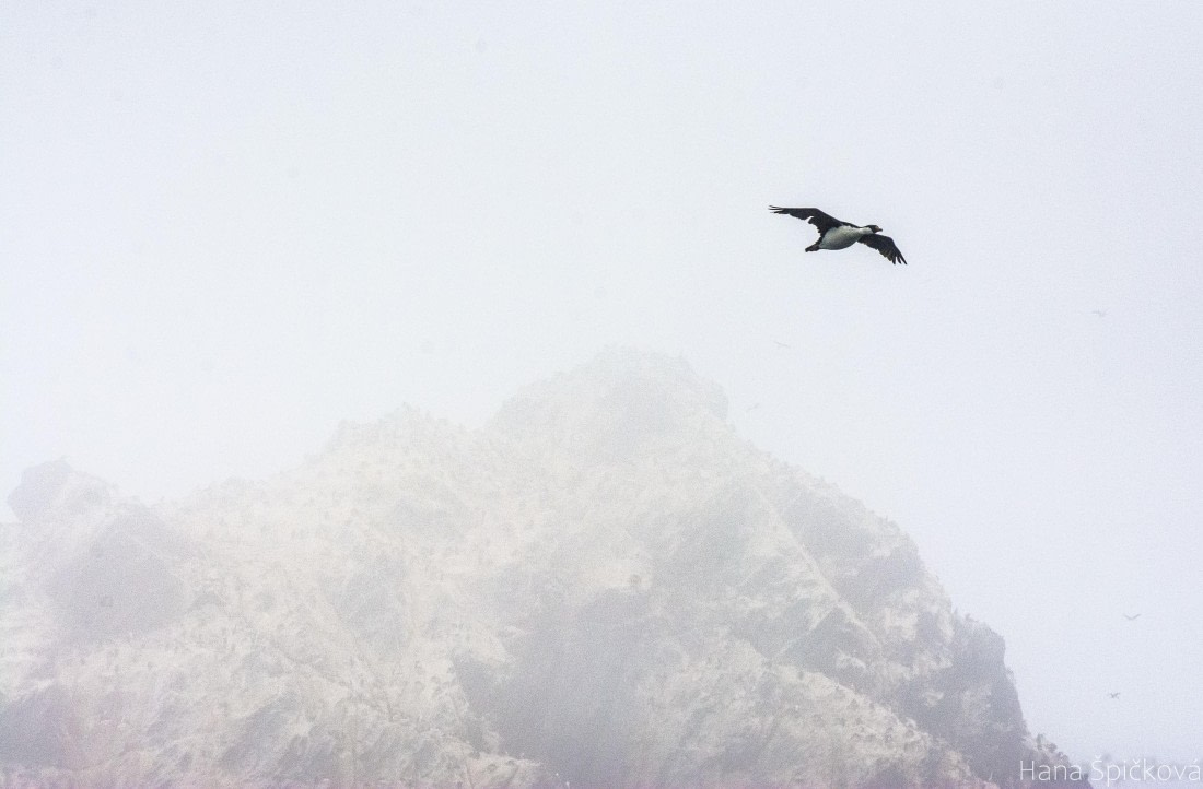 OTL25-25, Day 6, _DSC3555 © Hana Spickova - Oceanwide Expeditions.jpeg