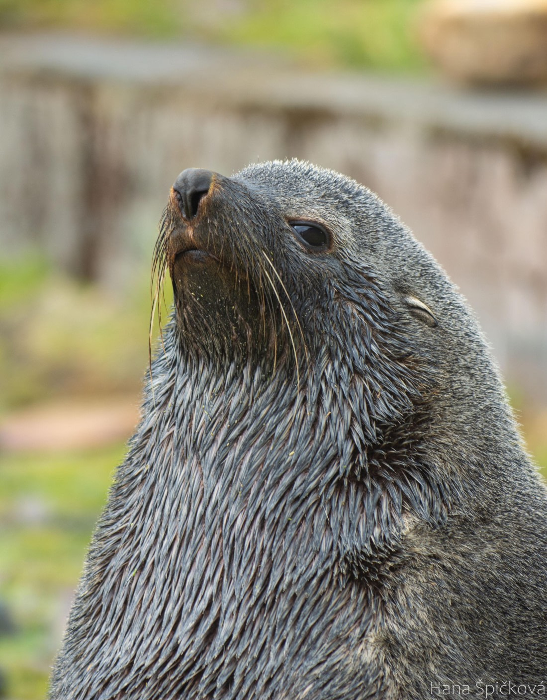 OTL25-25, Day 7, _DSC3615 © Hana Spickova - Oceanwide Expeditions.jpeg