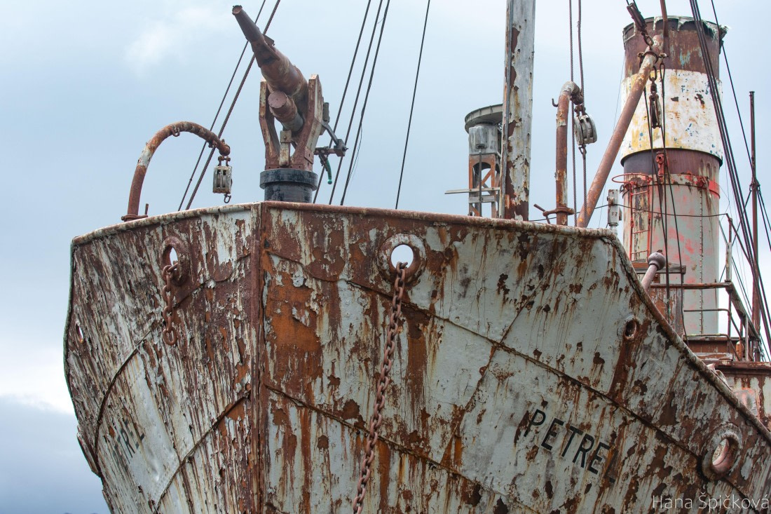 OTL25-25, Day 7, _DSC3676 © Hana Spickova - Oceanwide Expeditions.jpeg