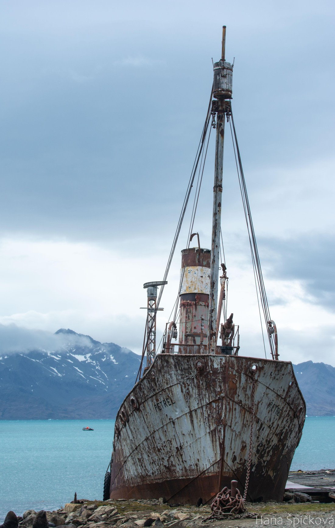 OTL25-25, Day 7, _DSC3678 © Hana Spickova - Oceanwide Expeditions.jpeg