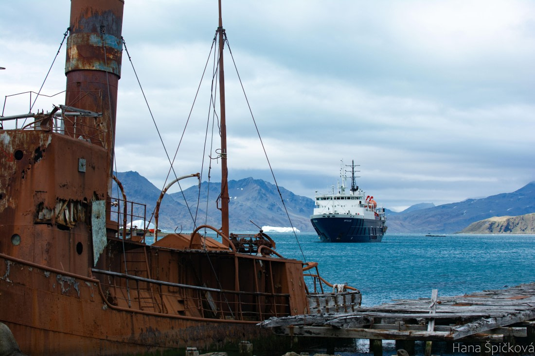 OTL25-25, Day 7, _DSC3709 © Hana Spickova - Oceanwide Expeditions.jpeg