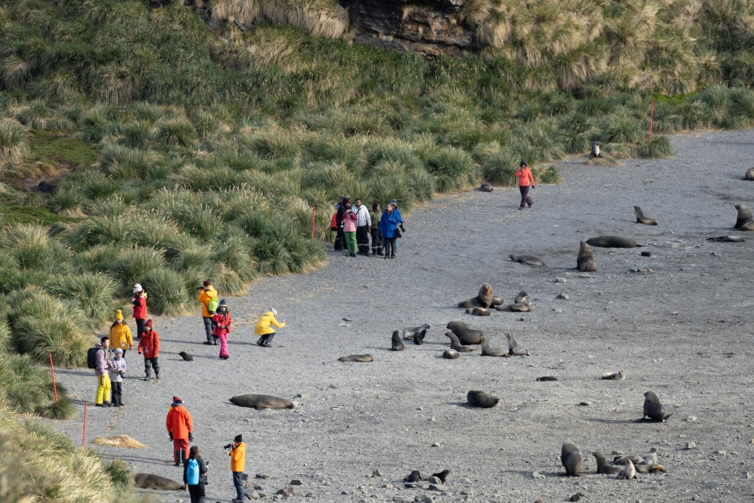 OTL25-25, Day 7, DSC01206 © Julian Robinson - Oceanwide Expeditions.jpg
