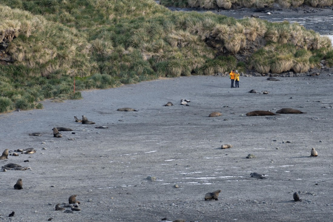 OTL25-25, Day 7, DSC01208 © Julian Robinson - Oceanwide Expeditions.jpg