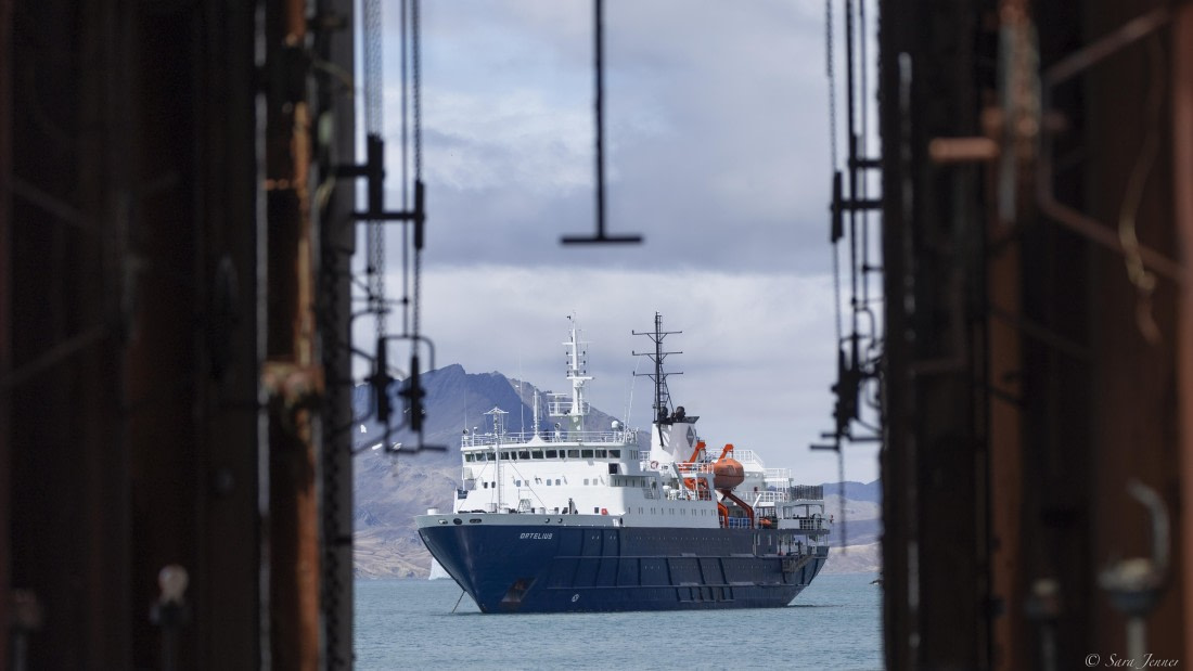 OTL25-25, Day 7, Grytviken 1 © Sara Jenner - Oceanwide Expeditions.jpg