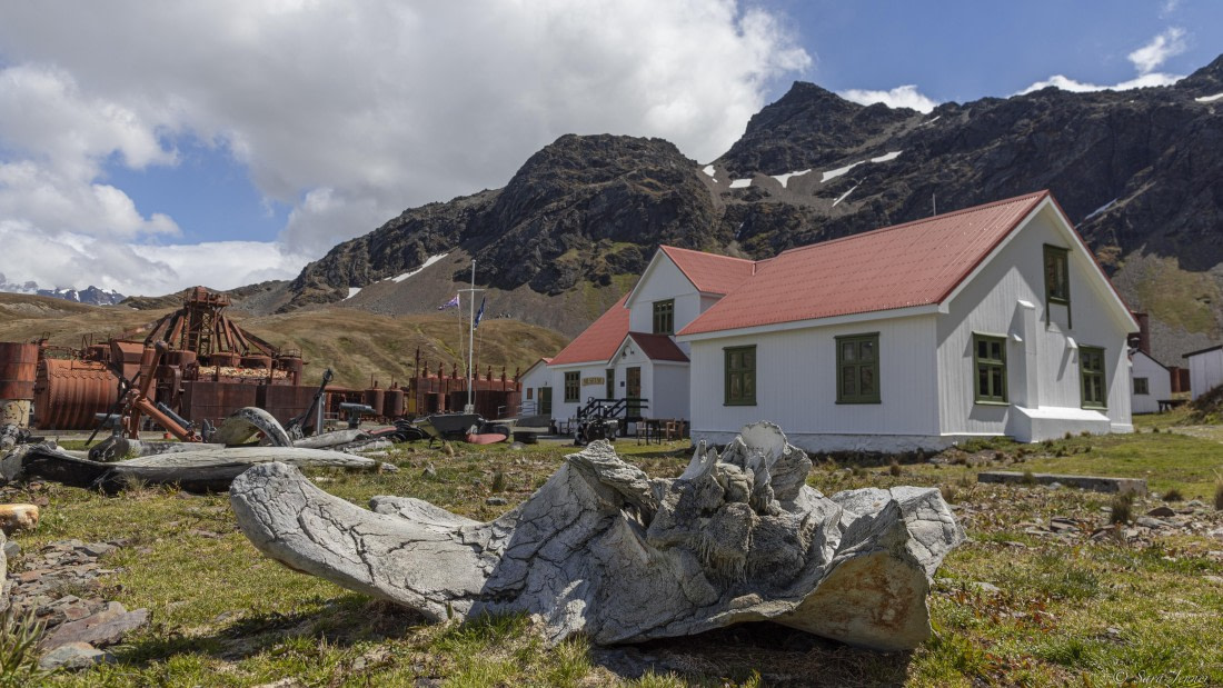 OTL25-25, Day 7, Grytviken 5 © Sara Jenner - Oceanwide Expeditions.jpg