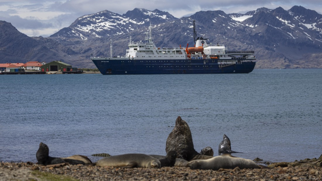 OTL25-25, Day 7, Grytviken 9 © Sara Jenner - Oceanwide Expeditions.jpg
