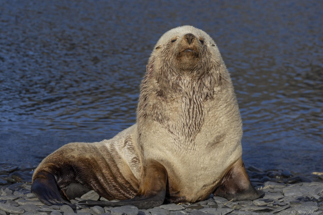 OTL25-25, Day 7, Jason Harbour 8 © Sara Jenner - Oceanwide Expeditions.jpg