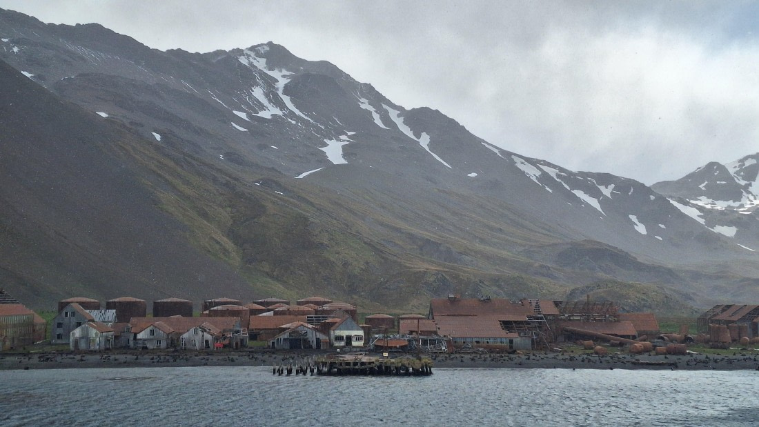 OTL25-25, Day 8, 20241217_163955 © Julian Robinson - Oceanwide Expeditions.jpg