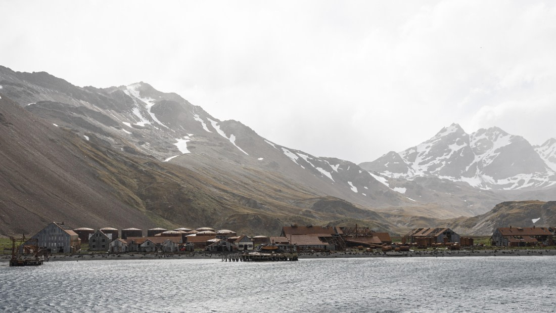 OTL25-25, Day 8, Stromness © Sara Jenner - Oceanwide Expeditions.jpg