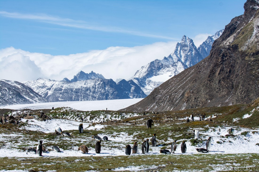 OTL25-25, Day 9, _DSC3852 © Hana Spickova - Oceanwide Expeditions.jpeg