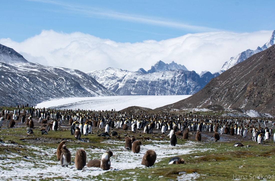 OTL25-25, Day 9, _DSC3865 © Hana Spickova - Oceanwide Expeditions.jpeg