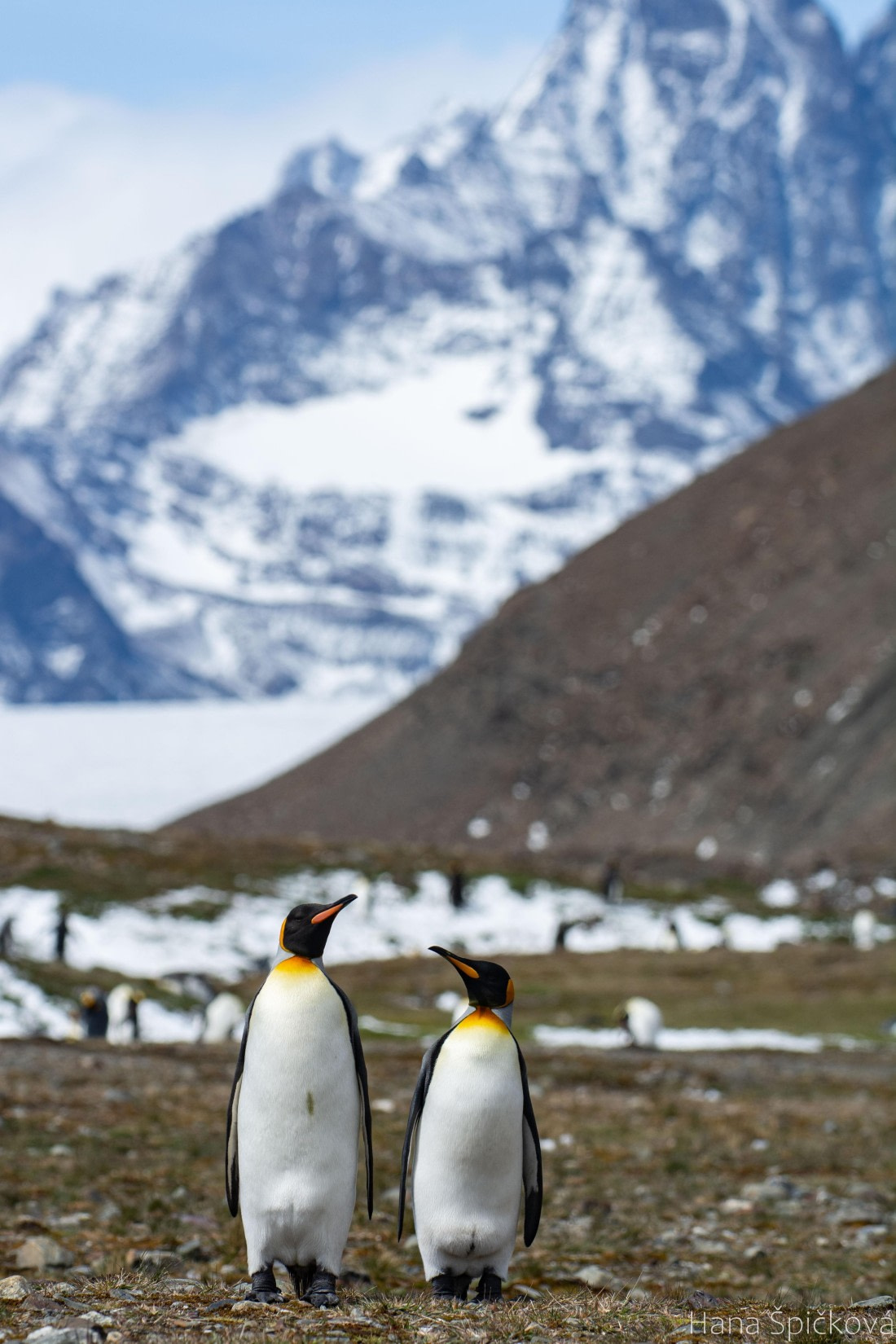 OTL25-25, Day 9, _DSC3901 © Hana Spickova - Oceanwide Expeditions.jpeg