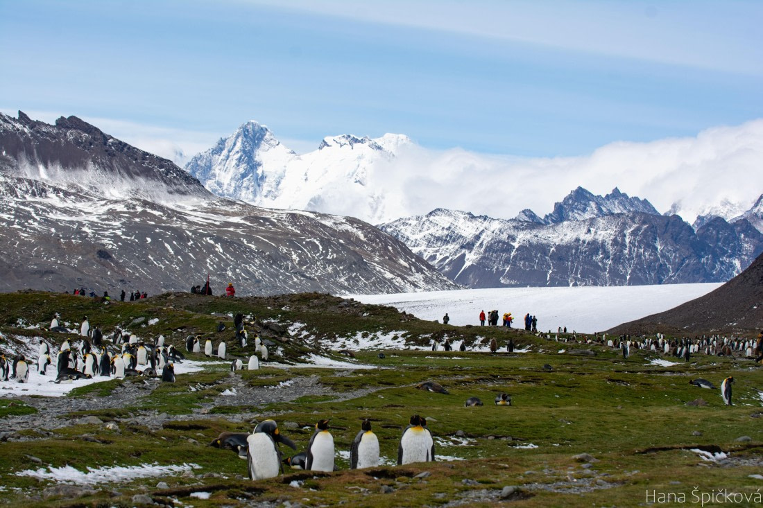 OTL25-25, Day 9, _DSC3917 © Hana Spickova - Oceanwide Expeditions.jpeg