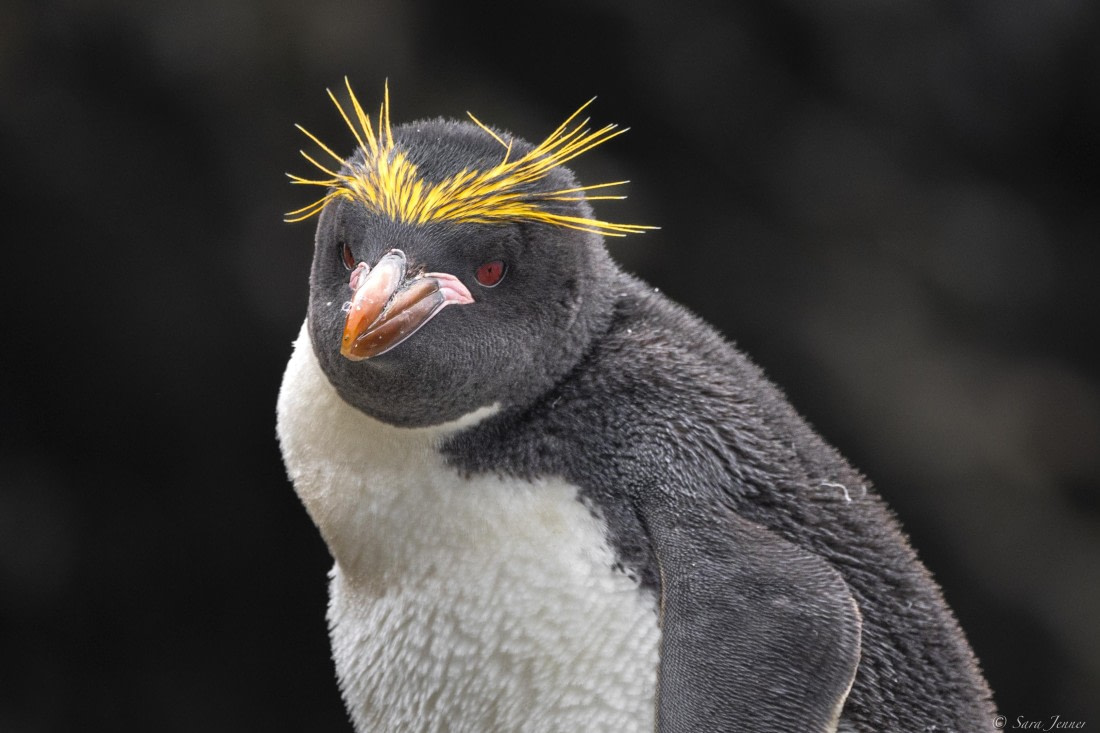 OTL25-25, Day 9, Hercules Bay 9 © Sara Jenner - Oceanwide Expeditions.jpg