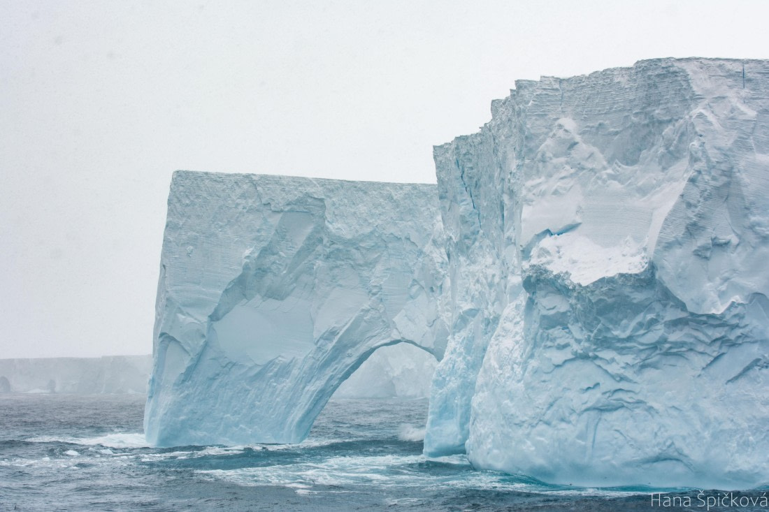 OTL25-25, Day 11, _DSC3964 © Hana Spickova - Oceanwide Expeditions.jpeg