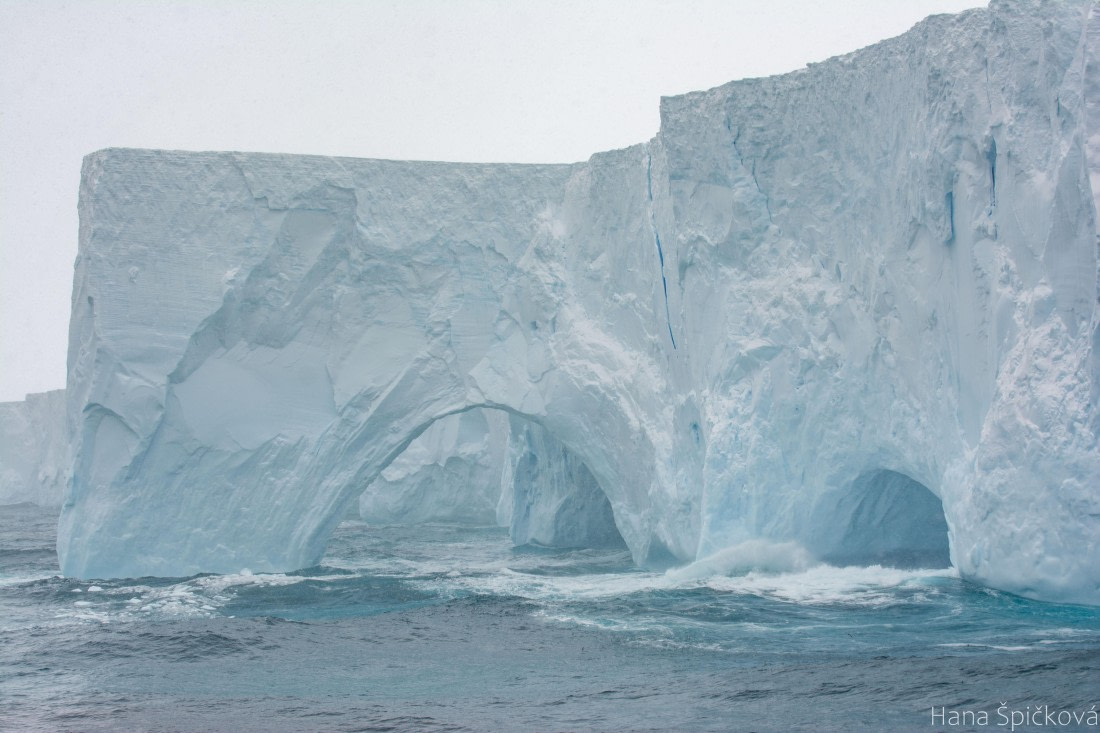 OTL25-25, Day 11, _DSC3969 © Hana Spickova - Oceanwide Expeditions.jpeg