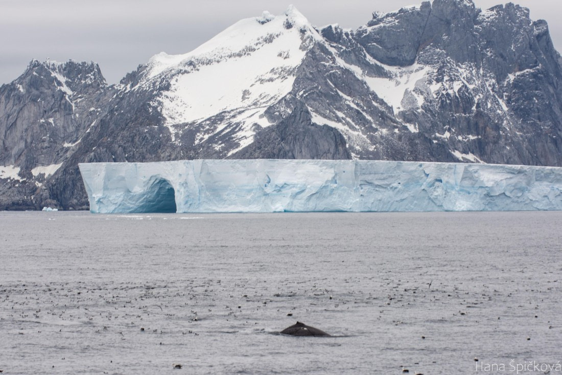 OTL25-25, Day 13, _DSC4095 © Hana Spickova - Oceanwide Expeditions.jpeg