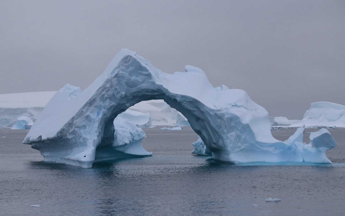 OTL25-25, Day 15, Zeppelin hangar © Unknown photographer - Oceanwide Expeditions.JPG