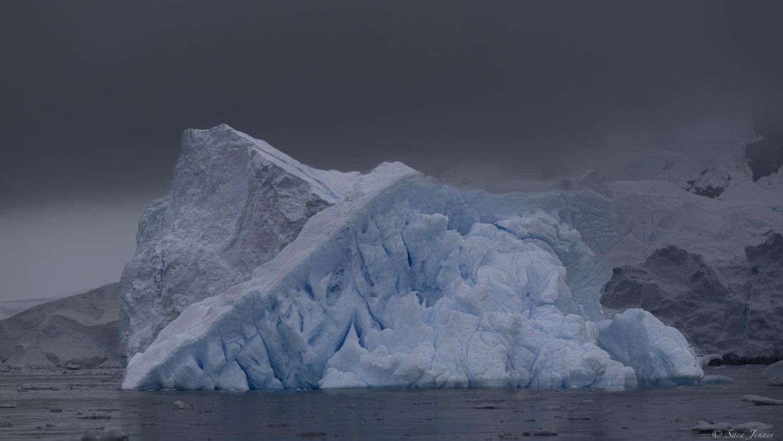 OTL25-25, Day 16, Flanders Bay 6 © Sara Jenner - Oceanwide Expeditions.jpg