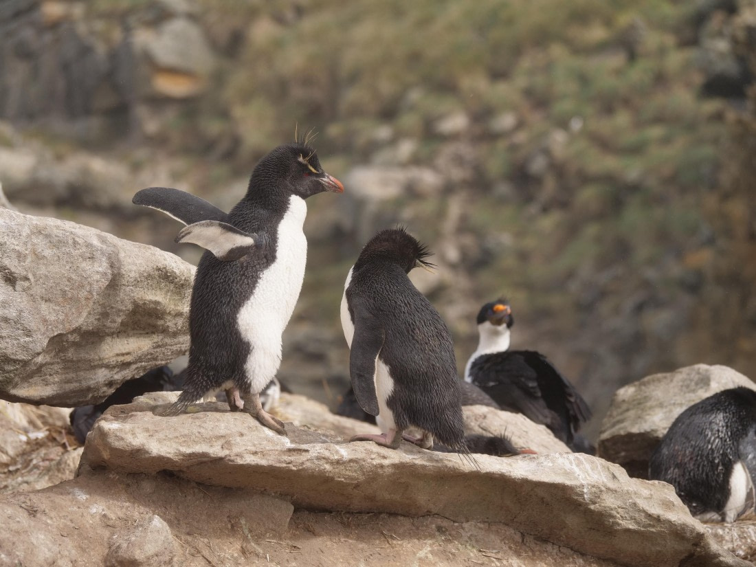 HDS25-25, Day 3, Jade-HDS25-25-Day3 (4) © Jade Heister - Oceanwide Expeditions.JPG
