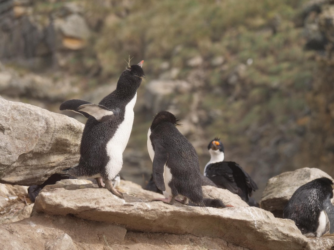 HDS25-25, Day 3, Jade-HDS25-25-Day3 (5) © Jade Heister - Oceanwide Expeditions.JPG