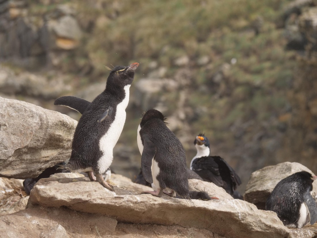 HDS25-25, Day 3, Jade-HDS25-25-Day3 (6) © Jade Heister - Oceanwide Expeditions.JPG
