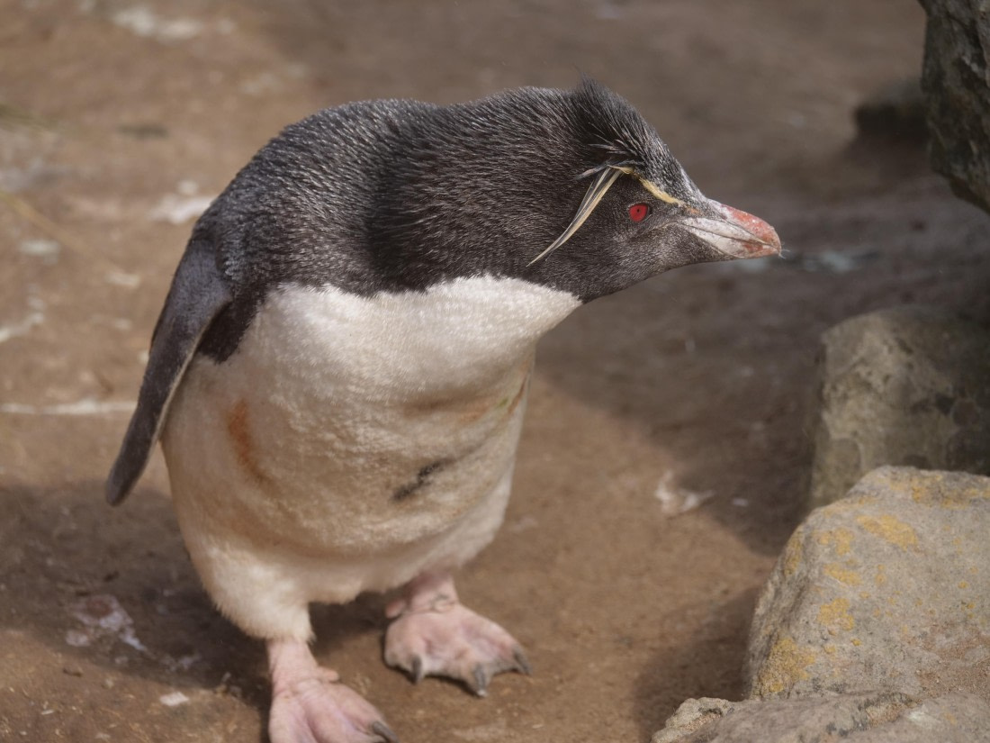 HDS25-25, Day 3, Jade-HDS25-25-Day3 (7) © Jade Heister - Oceanwide Expeditions.JPG