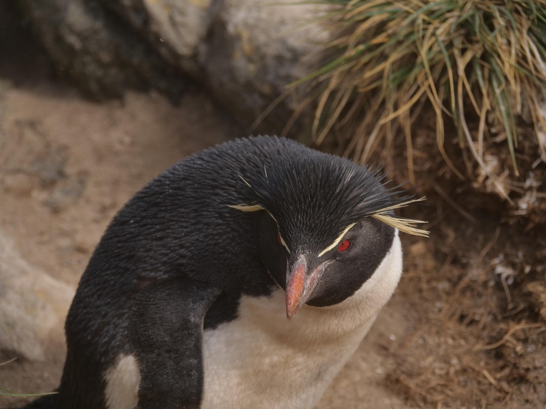 HDS25-25, Day 3, Jade-HDS25-25-Day3 (8) © Jade Heister - Oceanwide Expeditions.JPG