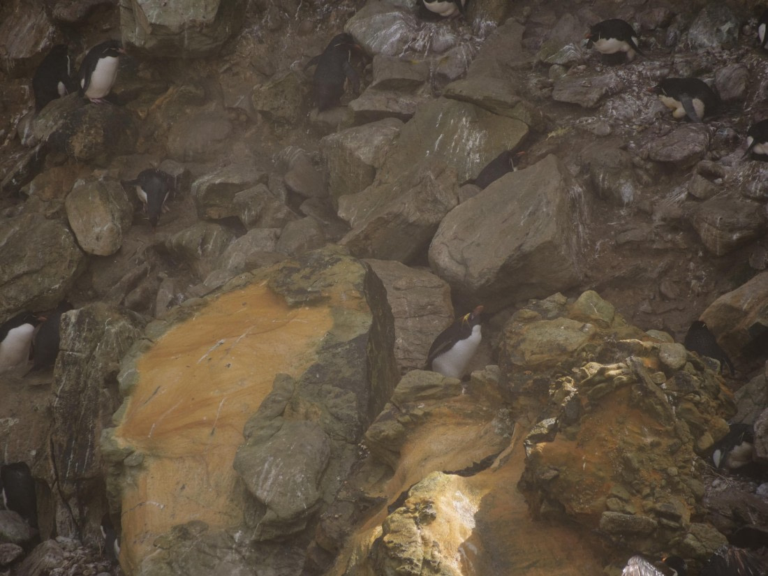 HDS25-25, Day 3, Jade-HDS25-25-Day3 (13) © Jade Heister - Oceanwide Expeditions.JPG