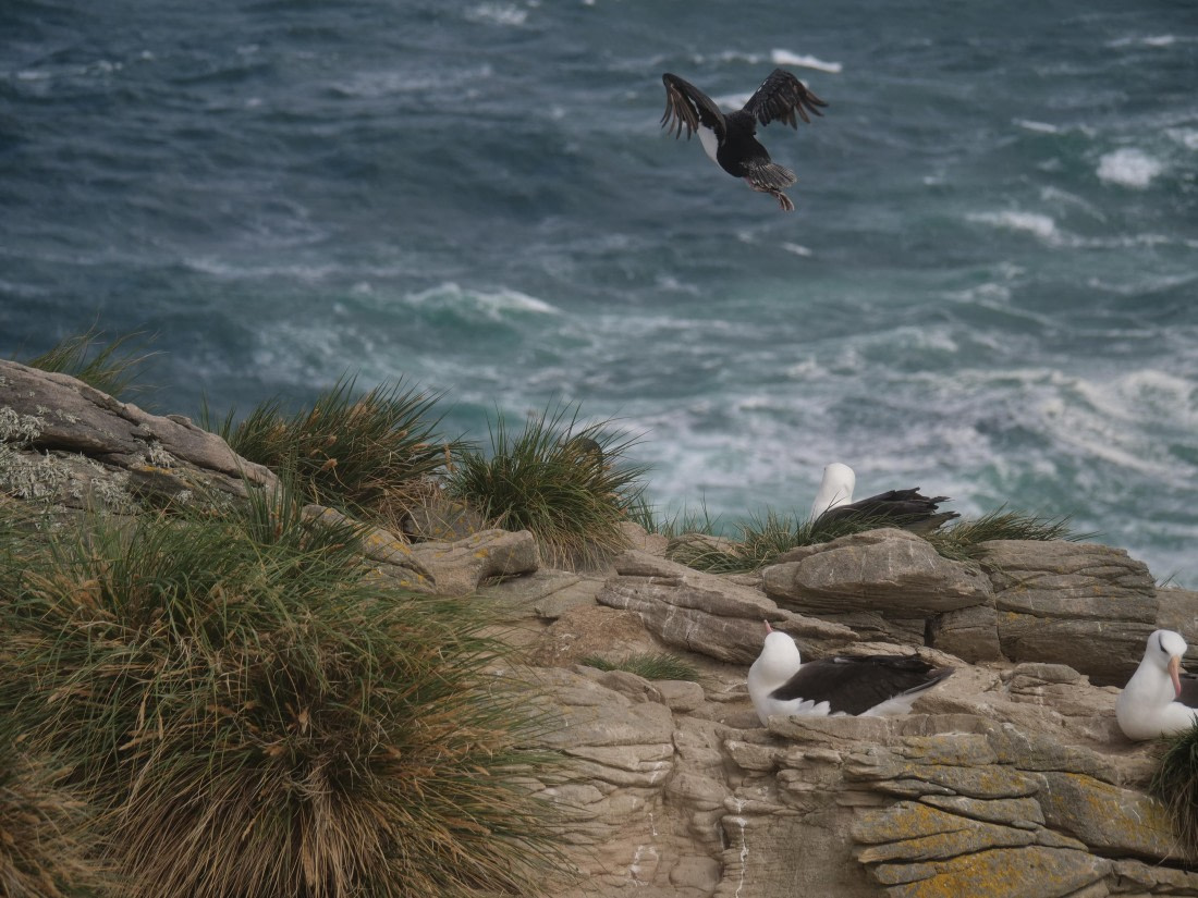 HDS25-25, Day 3, Jade-HDS25-25-Day3 (20) © Jade Heister - Oceanwide Expeditions.JPG