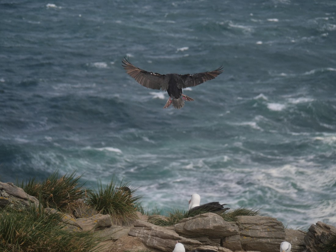 HDS25-25, Day 3, Jade-HDS25-25-Day3 (21) © Jade Heister - Oceanwide Expeditions.JPG