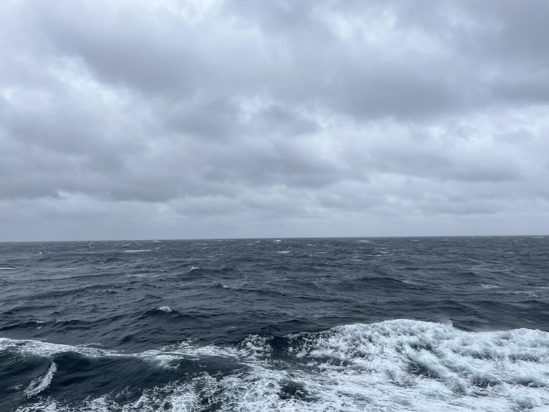 HDS25-25, Day 6, IMG_8242 © Unknown photographer - Oceanwide Expeditions.JPG