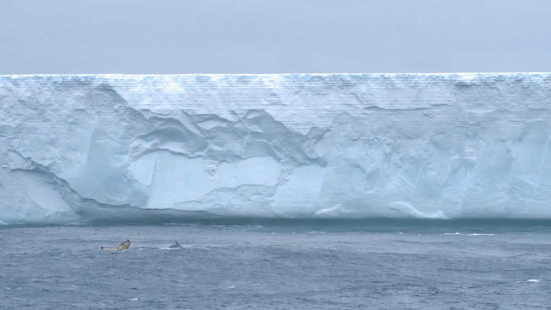 HDS25-25, Day 6, Jade-HDS25-25 Day 6 (1) © Jade Heister - Oceanwide Expeditions.JPG