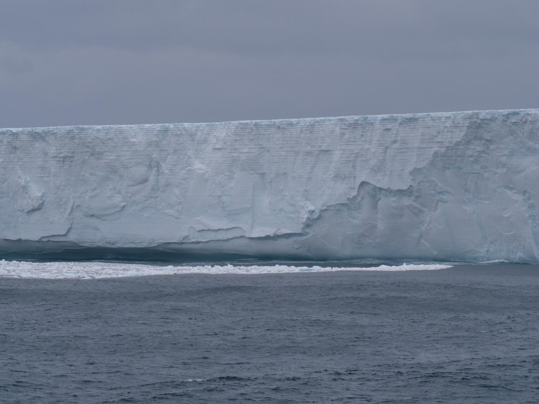 HDS25-25, Day 6, Jade-HDS25-25 Day 6 (3) © Jade Heister - Oceanwide Expeditions.JPG