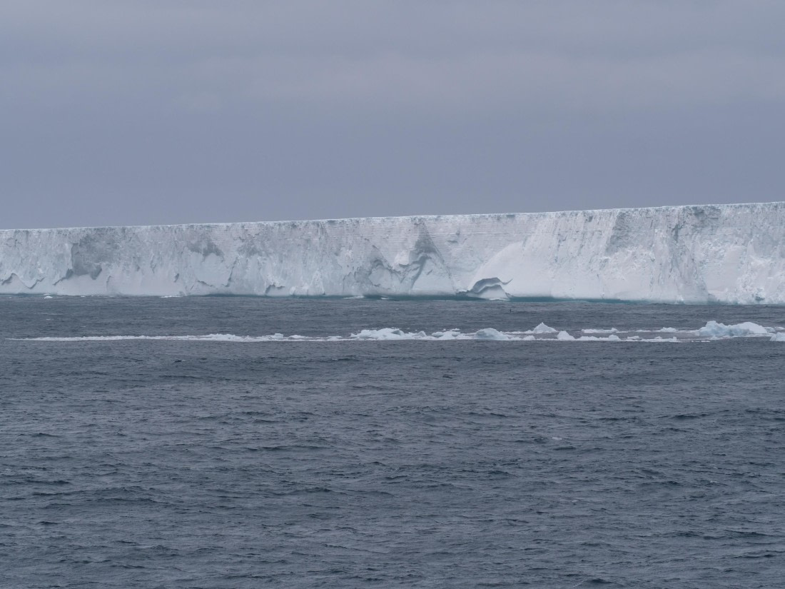 HDS25-25, Day 6, Jade-HDS25-25 Day 6 (2) © Jade Heister - Oceanwide Expeditions.JPG