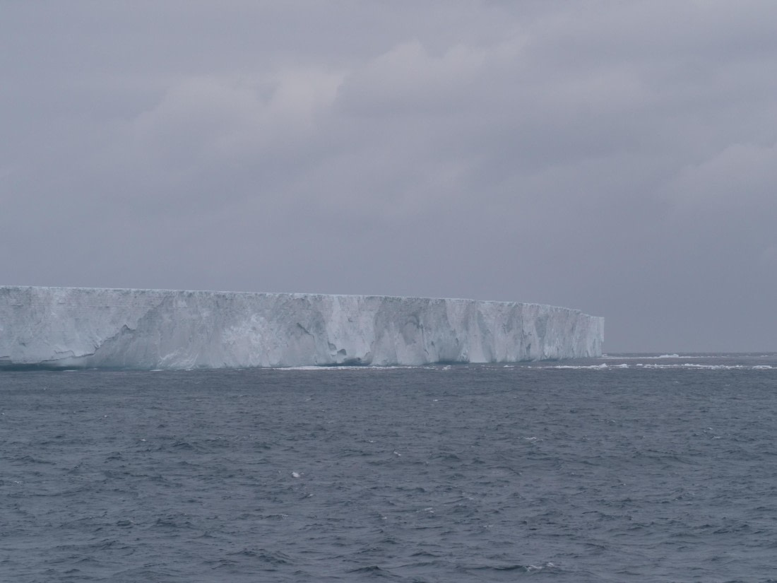 HDS25-25, Day 6, Jade-HDS25-25 Day 6 (5) © Jade Heister - Oceanwide Expeditions.JPG