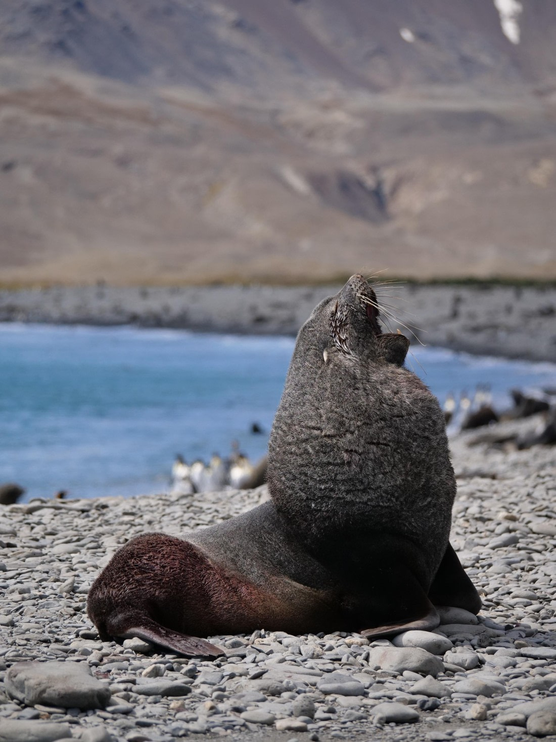 HDS25-25, Day 7, Jade-HDS25-25-Day7 (1) © Jade Heister - Oceanwide Expeditions.JPG