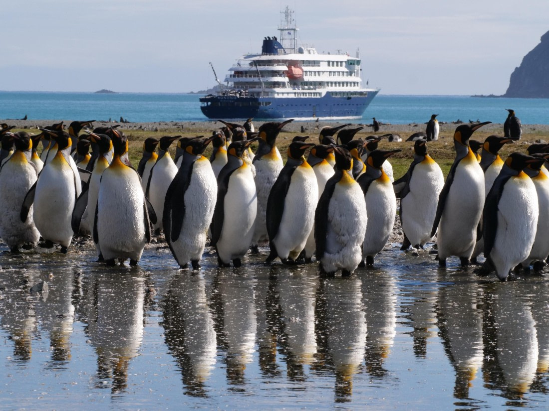 HDS25-25, Day 7, Jade-HDS25-25-Day7 (2) © Jade Heister - Oceanwide Expeditions.JPG