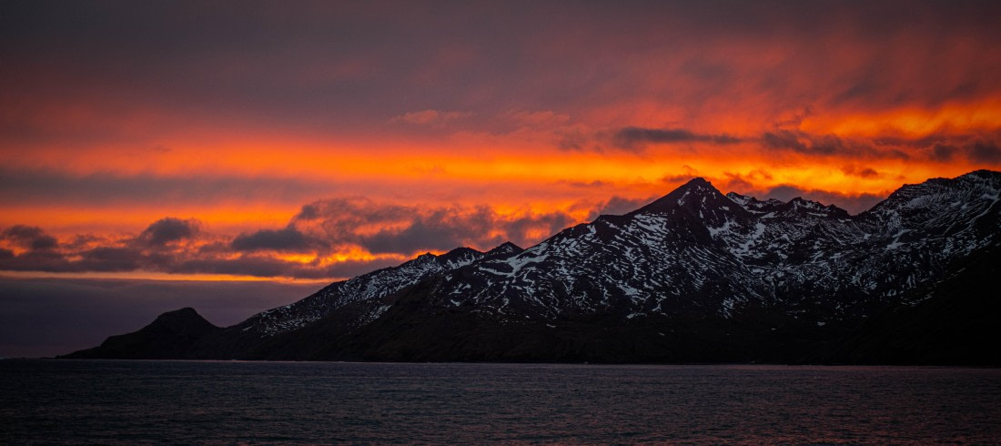 HDS25-25, Day 8, RLO_0308 © Alexander Romanovskiy - Oceanwide Expeditions.jpg