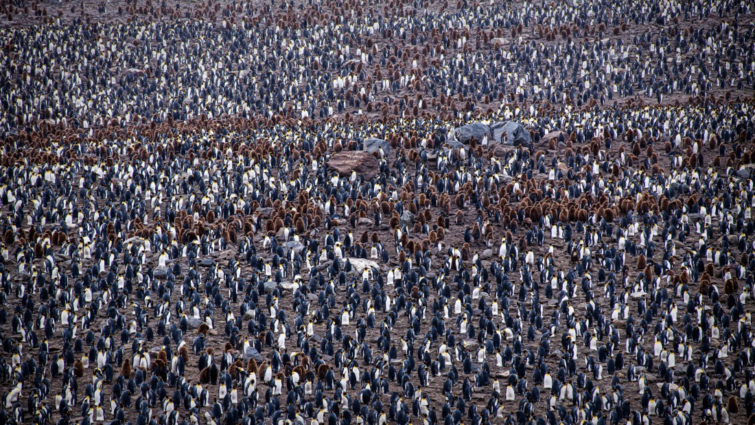 HDS25-25, Day 8, RLO_0400 © Alexander Romanovskiy - Oceanwide Expeditions.jpg