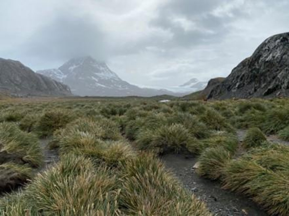 HDS25-25, Day 10, Pic1 © Unknown photographer - Oceanwide Expeditions.jpg