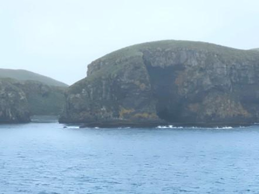 HDS25-25, Day 10, Pic3 © Unknown photographer - Oceanwide Expeditions.jpg