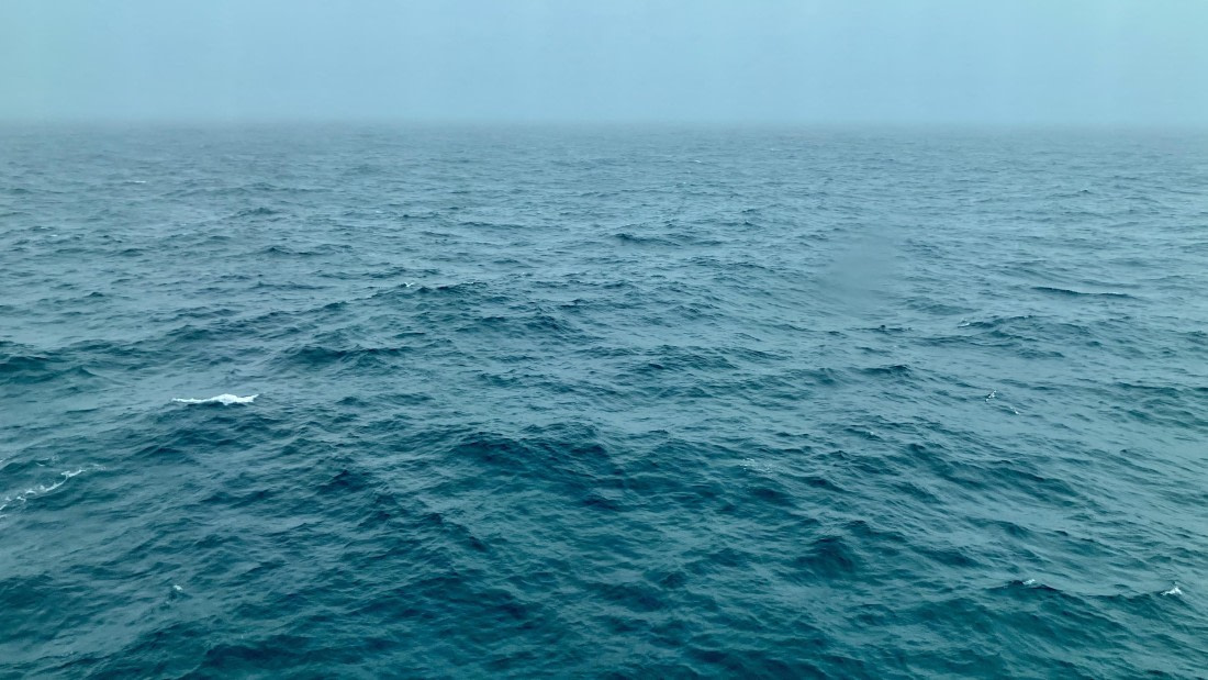 HDS25-25, Day 11, IMG_3662 © Unknown photographer - Oceanwide Expeditions.jpeg