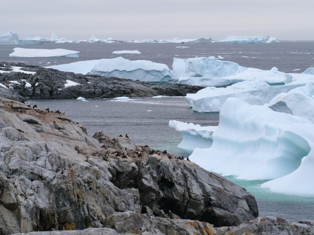 HDS25-25, Day 15, Jade-HDS25-25-Day15 (11) © Jade Heister - Oceanwide Expeditions.JPG