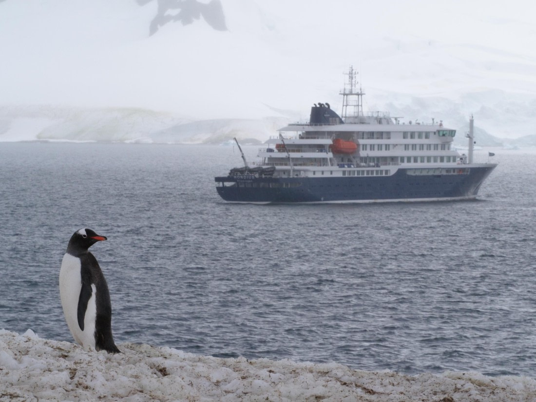 HDS25-25, Day 16, Jade-HDS25-25-Day16 (2) © Jade Heister - Oceanwide Expeditions.JPG