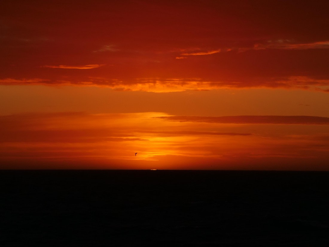 HDS25-25, Day 2, Jade-HDS25-25-Day2 (2) © Jade Heister - Oceanwide Expeditions.JPG