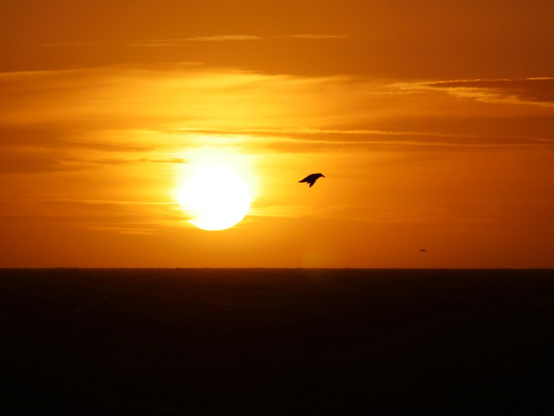 HDS25-25, Day 2, Jade-HDS25-25-Day2 (4) © Jade Heister - Oceanwide Expeditions.JPG