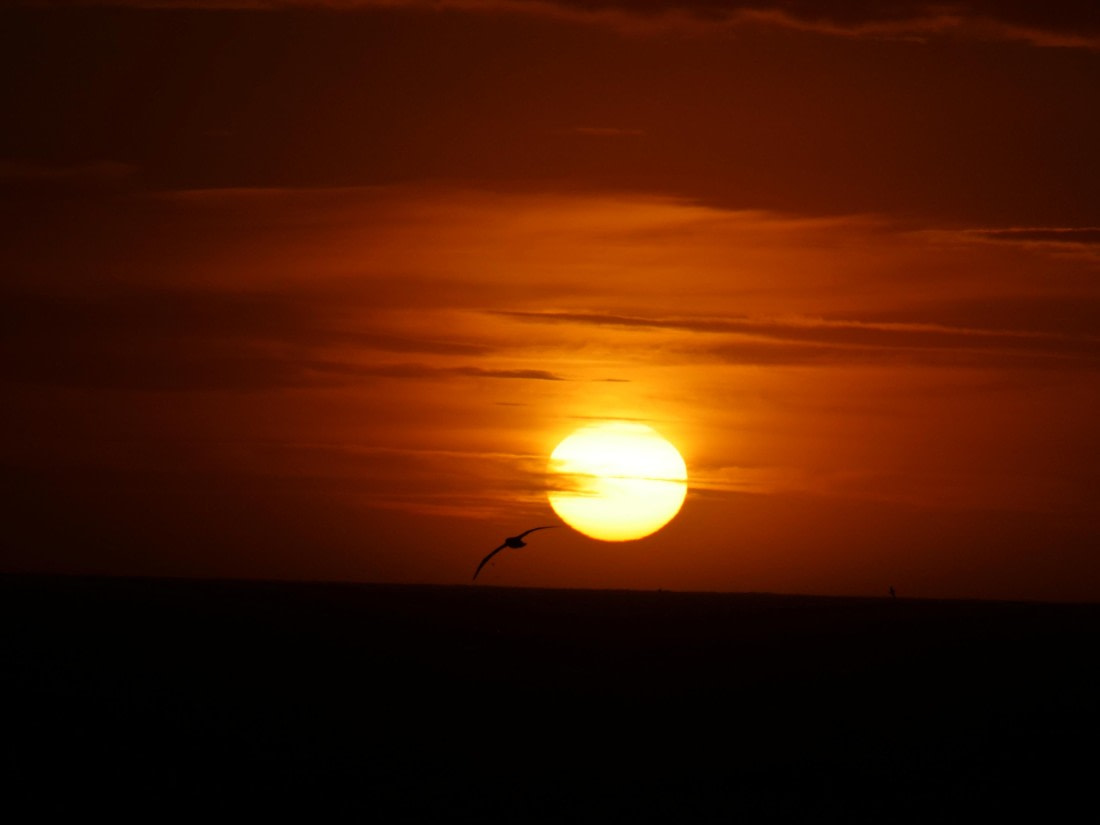 HDS25-25, Day 2, Jade-HDS25-25-Day2 (6) © Jade Heister - Oceanwide Expeditions.JPG